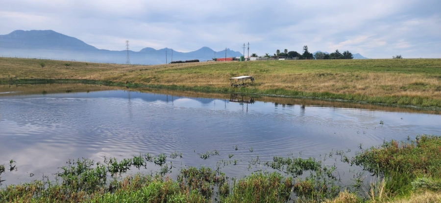 6 Bedroom Property for Sale in George Rural Western Cape